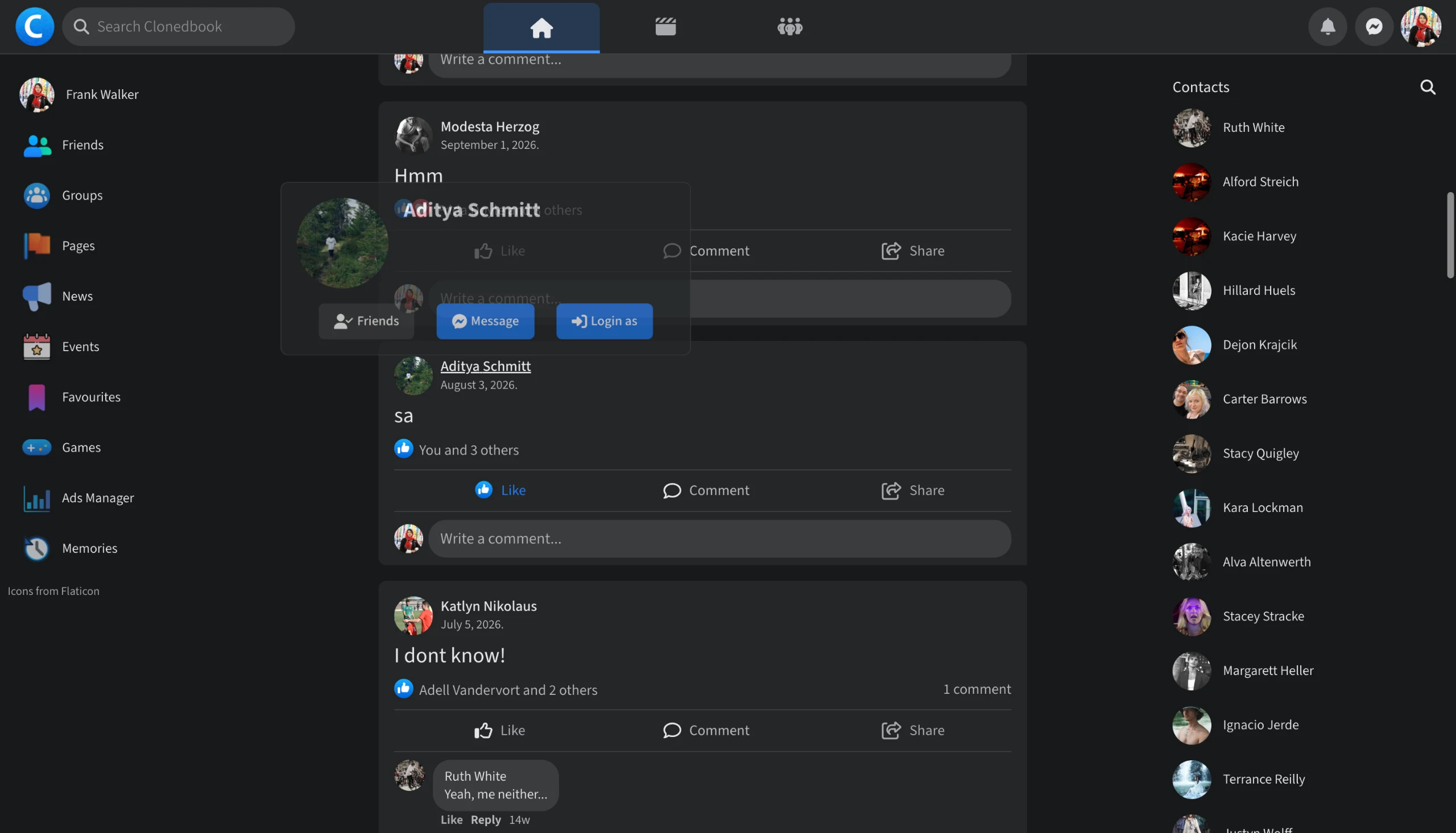 Clonedbook: a feed, scrolled: the first screen of the recording
